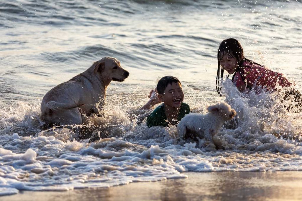 Kids Playing in Water with Dog